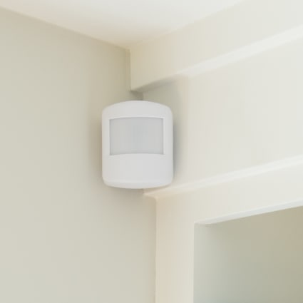 Bellingham motion sensor