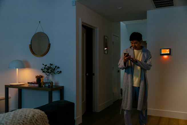 Vivint Bellingham smarthome automation